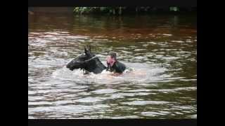 Appleby Fair 2012 video 2 of 3 [upl. by Sihtam]