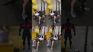 Pullover Exercise For Chest and Back [upl. by Acirdna542]