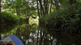 Wda Schwarzwasser Kajaktour mit dem Faltboot in Polen Kayaking Poland Spływ kajakowy [upl. by Arob]