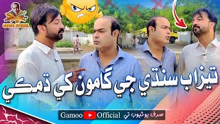 Tezaab Sindhi Ji Gamoo Khe Damki  Asif Pahore Gamoo  Hyder Qadri  Gamoo New Video  2023 [upl. by Eek36]