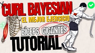 CURL BAYESIAN ¿EL MEJOR EJERCICIO de BÍCEPS TUTORIAL y CLAVES para máxima hipertrofia [upl. by Aioj540]