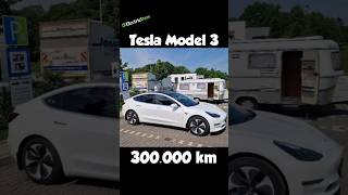 300000 km mit Tesla Model 3 LR AWD 2019 tesla elektroauto electricdave teslamodel3 bestcar [upl. by Enialedam]