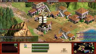 Age of Empires 2 HD custom campaign Tylia  Chapter III final part [upl. by Iron]