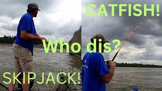 Catching skipjack and catfish with my buddy Ryan [upl. by Marcelo]