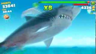 NEW SHARK BATTLE ROYALE GAME  Hungry Shark Arena  Part 1  Pungence [upl. by Novad16]