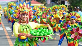 Lucky Colors of the year 2025 in the Philippines Feng Shui Home [upl. by Wylma688]