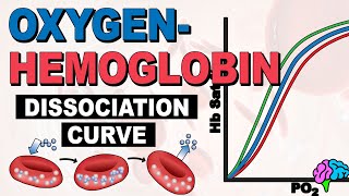 The Oxygen Hemoglobin Dissociation Curve EXPLAINED [upl. by Wj]