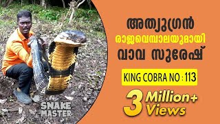 Wow 13 feet long 113th King Cobra rescued  Vava Suresh  Snake Master  Latest episode [upl. by Nylear]