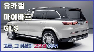 메르세데스마이바흐 GLS  MercedesMaybach GLS 고급 그 이상의 고오급 SUV [upl. by Magdala]