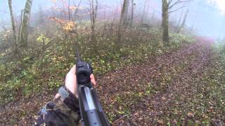 Chasse 2014 France Battues Sangliers Haute Marne Decembre 14 Driven Boar Hunting [upl. by Adieren970]