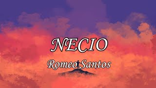 Romeo Santos  Necio Letra [upl. by Sang496]