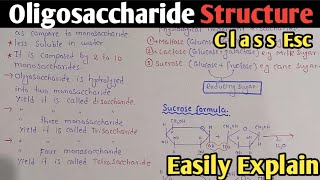 Oligosaccharide Structure And Classification  Disaccharide  Sucrose  Maltose  Class 11 [upl. by Horton]