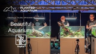 Aquascapes from The Art of The Planted Aquarium Contest [upl. by Bal332]