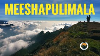 Meeshapulimala Trekking  Rhodo Mansion Stay  Munnar  KFDC Booking and Trek  Sunrise view [upl. by Theron506]