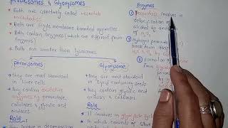 Peroxisomes  Glyoxysome  Federal amp KPK Board  Class 11 Biology [upl. by Cornall]