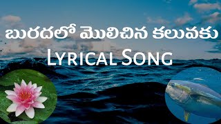 Buradalo molichina kaluvaku lyrical song  బురదలో మొలిచిన కలువకు song  Satya veda sagar anna songs [upl. by Apfelstadt876]