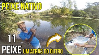 Pescaria no rio Piracicaba muito peixe um atrás do outro com o escrito Alisson noso convidado [upl. by Ky332]