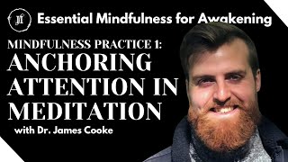 Mindfulness Practice 1  Anchoring Attention  Inner Space Institute Nonduality Essentials [upl. by Ladiv]