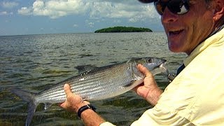 Biscayne Bay Bonefish Fishing on the Shallow Flats [upl. by Tavia]