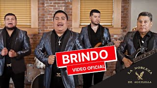 Brindo La Nobleza De Aguililla Video Oficial [upl. by Merwyn]