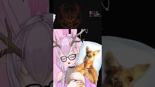 Democracy is back  medeafloyen twitch retro vtuber fps game girl cute play gamergirl [upl. by Mimi]