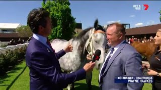 Chautauqua bids farewell  Turnbull Stakes Day [upl. by Lanaj]