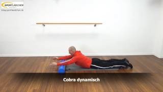 Übungen mit der Pilates Rolle [upl. by Zimmermann]