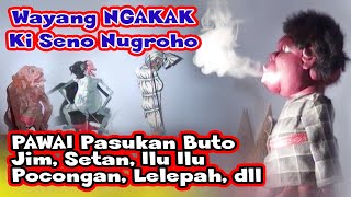 LUCU POLL PAWAI PASUKAN BUTO KI SENO NUGROHO [upl. by Oinoitna]