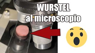 🔬 Würstel al microscopio 🔬 guarda come sono fatti [upl. by Enilorak144]