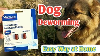 Deworming of DOG  Easy Way to Deworm your Dog at Home  Dog Care Information  virbac deworming [upl. by Marshall]