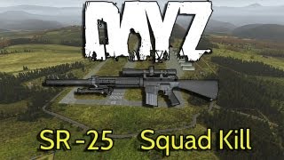 DayZ Overwatch  SR25 3 Man Squad Kill [upl. by Elinad]