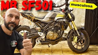 😎Conoce la SF501 de MB Motos una 250cc muy quotfornidaquot😎 [upl. by Al744]