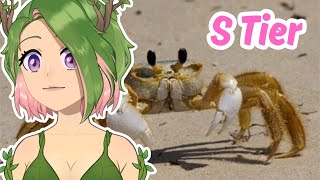 The Crustacean Tier List  Cami reacts to Tier Zoo [upl. by Furmark840]