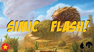 MTG Arena Simic Flash Standard Ranked BO1 [upl. by Tzong]