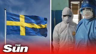 Is Sweden heading to a COVID19 catastrophe after refusing lockdown [upl. by Otxis408]