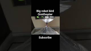 Diy big ornithopterrobot bird [upl. by Asia]