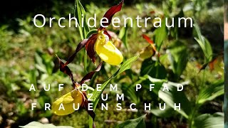 Orchideentraum  auf dem Pfad zum Frauenschuh [upl. by Northrup]