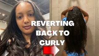 will my hair revert back to curly [upl. by Belding]