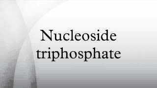 Nucleoside triphosphate [upl. by Namref]