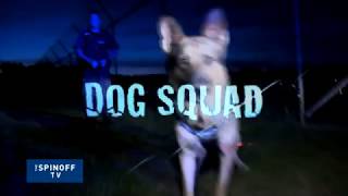 A tribute to Dog Squad by Angella Dravid  The Spinoff TV [upl. by Eyot]