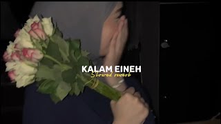 Sherine  Kalam Eineh  شيرين  كلام عين  slowed reverb [upl. by Enrobialc764]