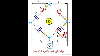 Lab 5 Schering Bridge Practical implementation [upl. by Volnay997]