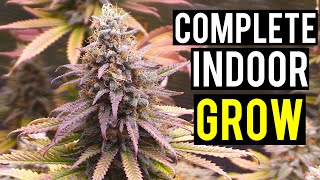 Seed To Harvest A Complete Indoor Cannabis Grow [upl. by Lynette]