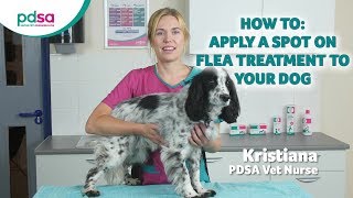 How To Apply A Spot On Flea Treatment To Your Dog PDSA Petwise Pet Health Hub [upl. by Aurore900]