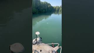 Tarpon on Fly in the Territory tarpon flyfishing fishing islandhopping [upl. by Palmira]