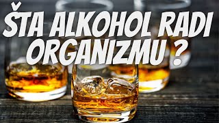 Šta Alkohol Čini Našem Organizmu [upl. by Hairom]