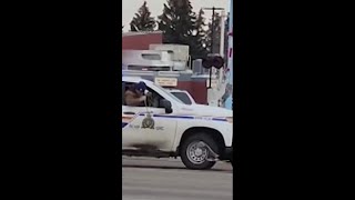 Canada police chase loose ostrich through the streets [upl. by Daisey]