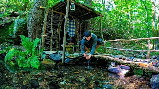 7 Days SURVIVAL Camping In RAIN Forest THUNDER Building Warm BUSHCRAFT SHELTER Primitive BRIDGE [upl. by Htabmas237]