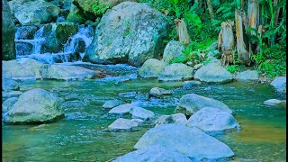 River Sounds for Reading and Study  Peaceful Flowing Water to Enhance Focus and Clarity [upl. by Hanzelin]