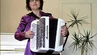 LE DENICHEUR accordeon [upl. by Neerod]